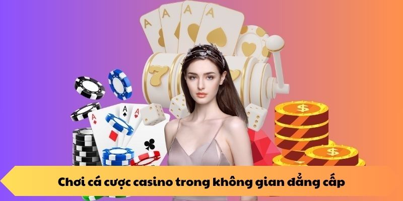 Chơi cá cược casino trong không gian đẳng cấp